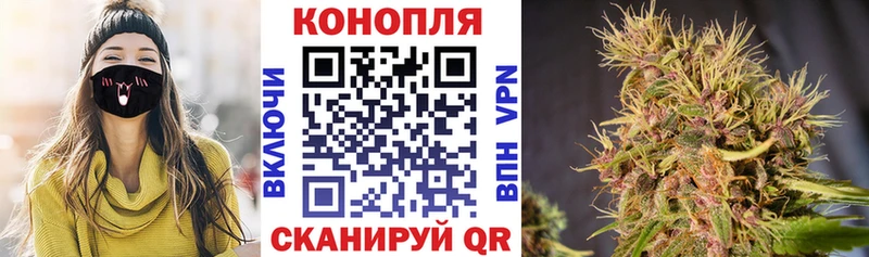 Шишки марихуана тримм  дарнет шоп  Джанкой 